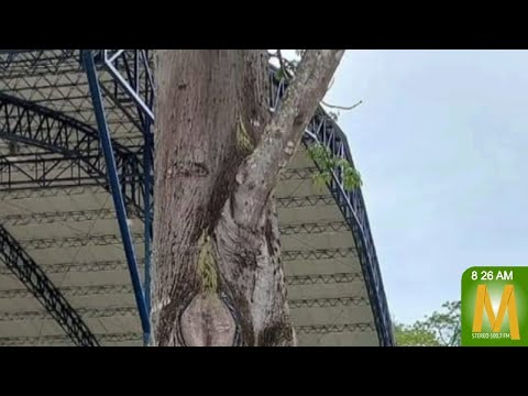 INDERG al frente de falla en sistema de alumbrado del Parque la Iguana en Barrio Bello Horizonte