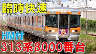 【臨時快速】HM付 313系8000番台 警笛を鳴らして通過!!