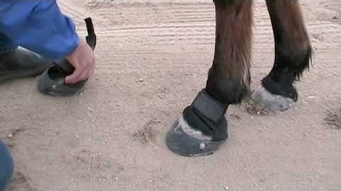 Fitting the Easyboot Glove