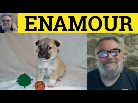 Video: Was ist die Definition von Enamor?