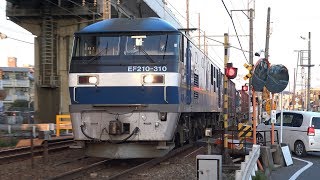 【4K】JR山陽本線　EF210-310号機牽引　貨物列車