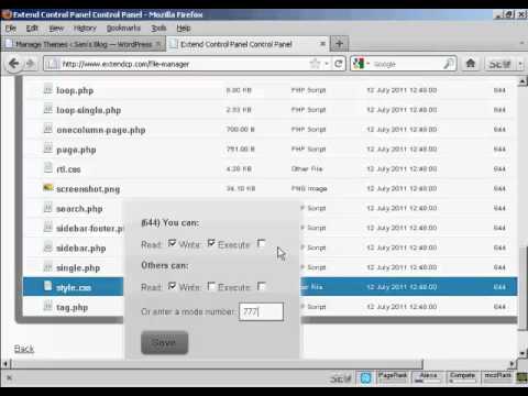 Video 19 - How to Edit WordPress Theme CSS Styles.mp4