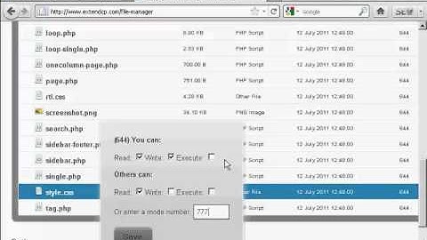 Video 19 - How to Edit WordPress Theme CSS Styles.mp4