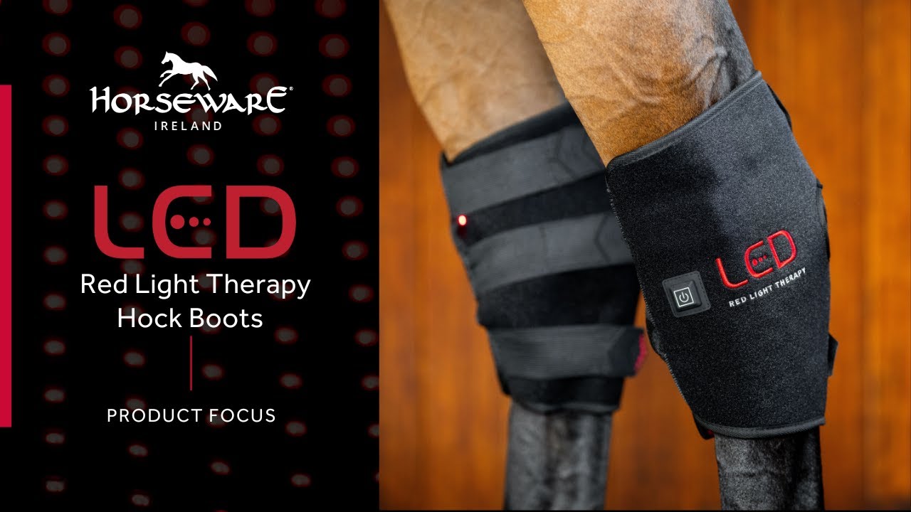 Horseware LED Hock Boots = Education – Targeted Recovery with Advanced Light Therapy