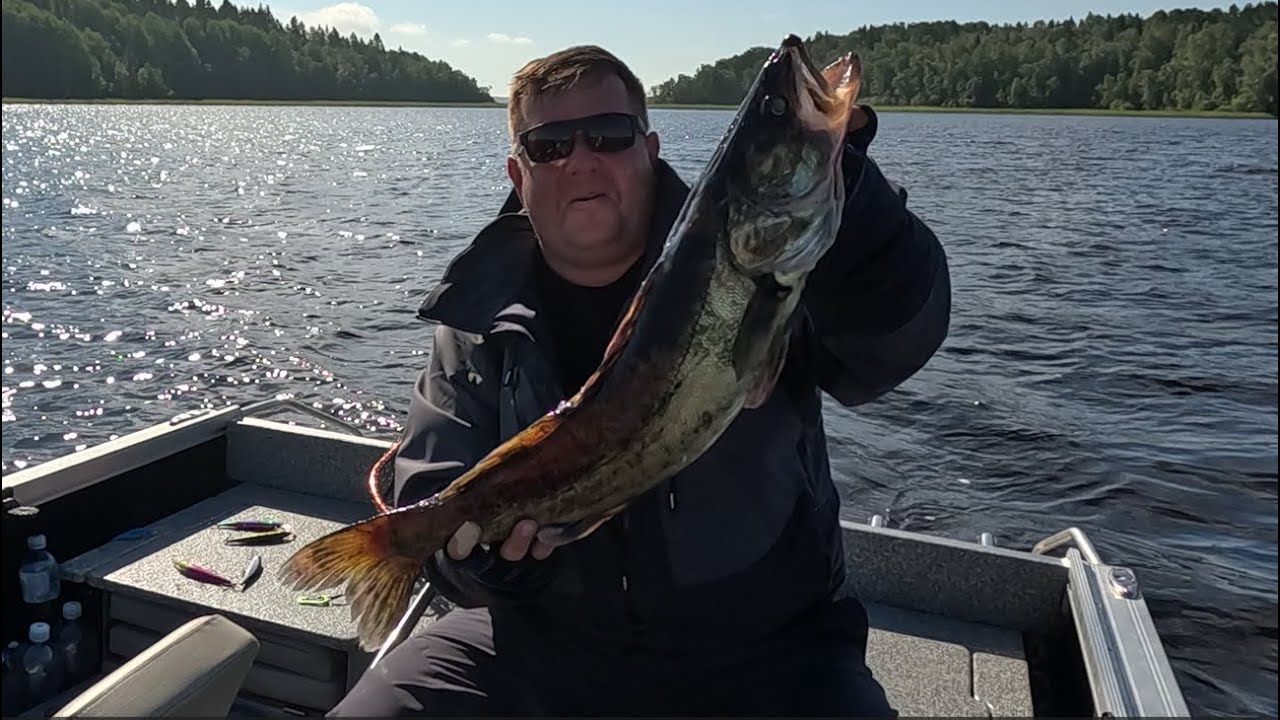 Рыбалка в Карелии,Ууксунлахтинский залив. Отдых с семьёй.Судак ,щука на ...