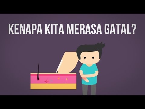 Video: Kenapa Kita Gatal? Mengapa Menggaruk Merasa Lebih Baik?