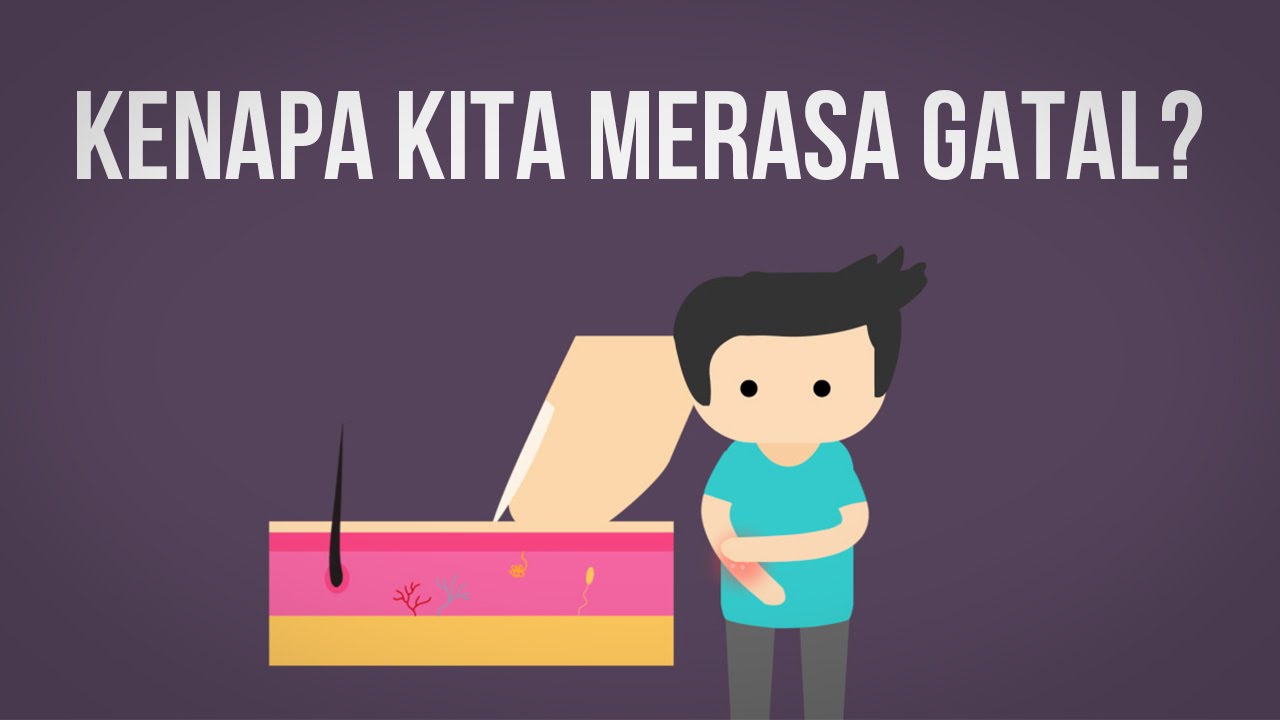 Mengapa Kita Merasa Gatal?