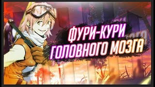 Фури-кури головного мозга