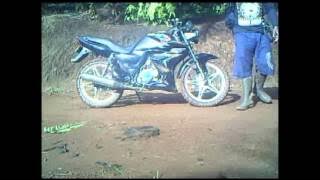 Video Pemantau Satwa Liar di Hutan Konservasi Hasym Djoyohadikusumo TKA.flv