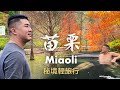 苗栗秘境景點｜自由行玩法 放鬆輕旅行