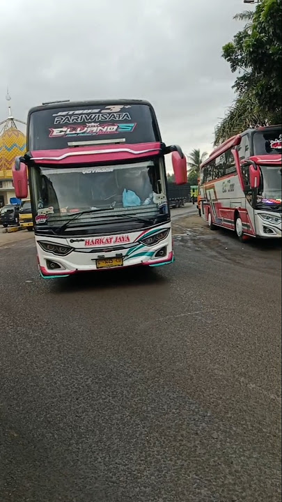 Basuri marsha and the bear dari elvanos bikin candu#basuri #busmania