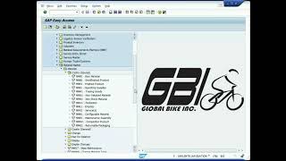 SAP GBI MM 03 Extend Material Master