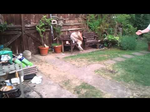 Rich King Vid.3gp