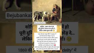 World_s Most Emotional Dog Painting ❤️🎨 This Dog Never Left His Owner_s Side ❤️🐾#dogrescue #pet #yt