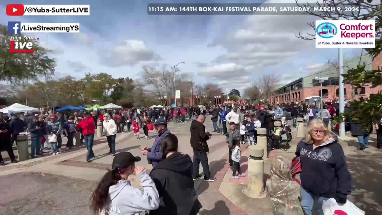 NOW 11 AMor soon after BOKKAI PARADE, Saturday, March 9, 2024 YouTube