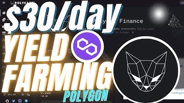 30$/DAY Passive Income High Risk  Polygon Matic Yield Farming! Polycat finance Review!