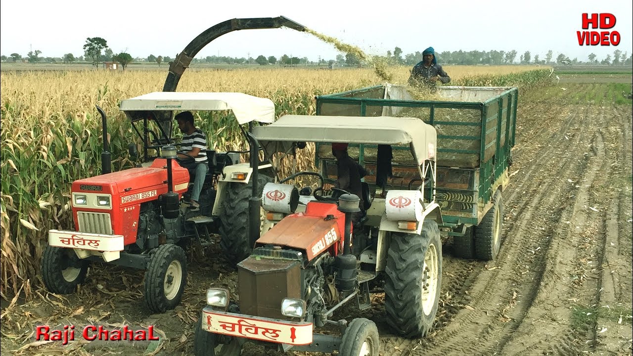 Swaraj855 + Shaktiman Fodder Harvester + Tarlly Agriculture Equipment 2