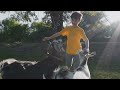 Top 5 Fun Things to Do with Kids in Chicago!