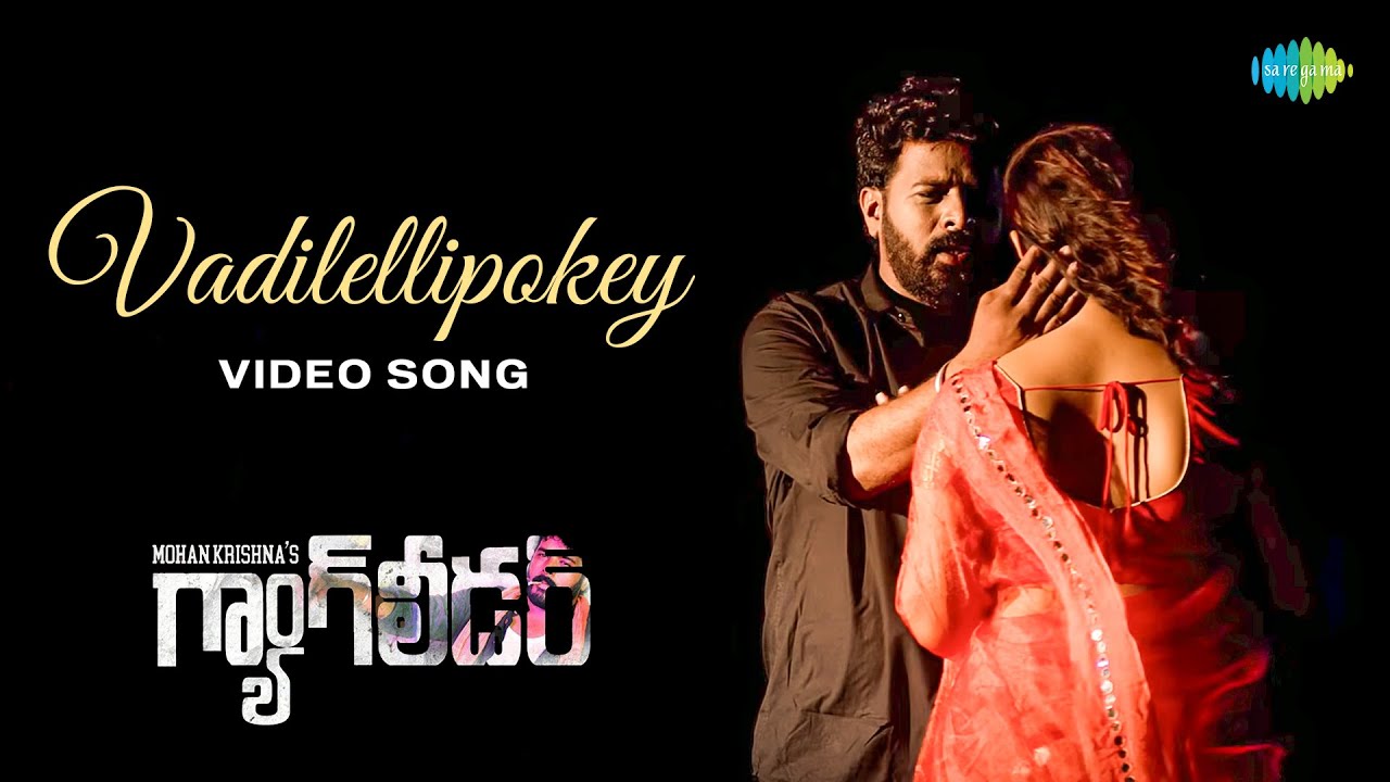 Vadilellipokey - Video Song | Mohan Krishna's Gangleader | Mohan Krishna, Mamatha Reddy | Ghanashyam