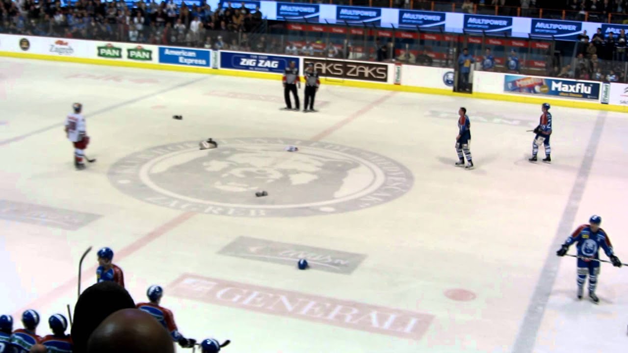 Medvescak Red Bull 4.11. 5:0 Tom Zanoski fight