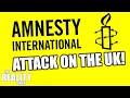 Amnesty internationals propalestinian bloodthirst