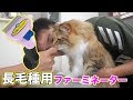 本家のファーミネーター使ってみたらごっそり衣替え!