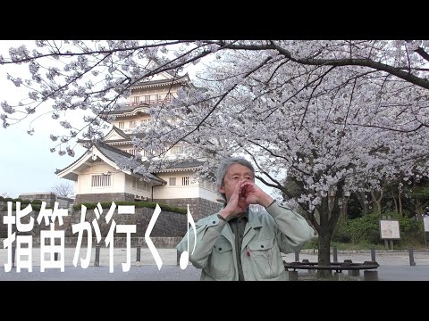 指笛が行く♪ roam of finger flute ♪ ⑮ 千葉市郷土博物館 (Chiba city hometown museum)  荒城の月