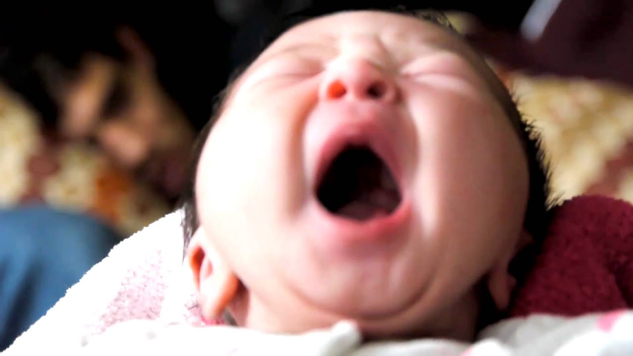 THE FIGHTER - GILBERT MELENDEZ & THE SKRAP PACK