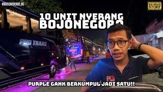 #BUSDRIVERVLOG | Trip Bojonegoro-Bali | KUMPUL AKBAR PURPLE GANK DI BOJONEGORO‼️