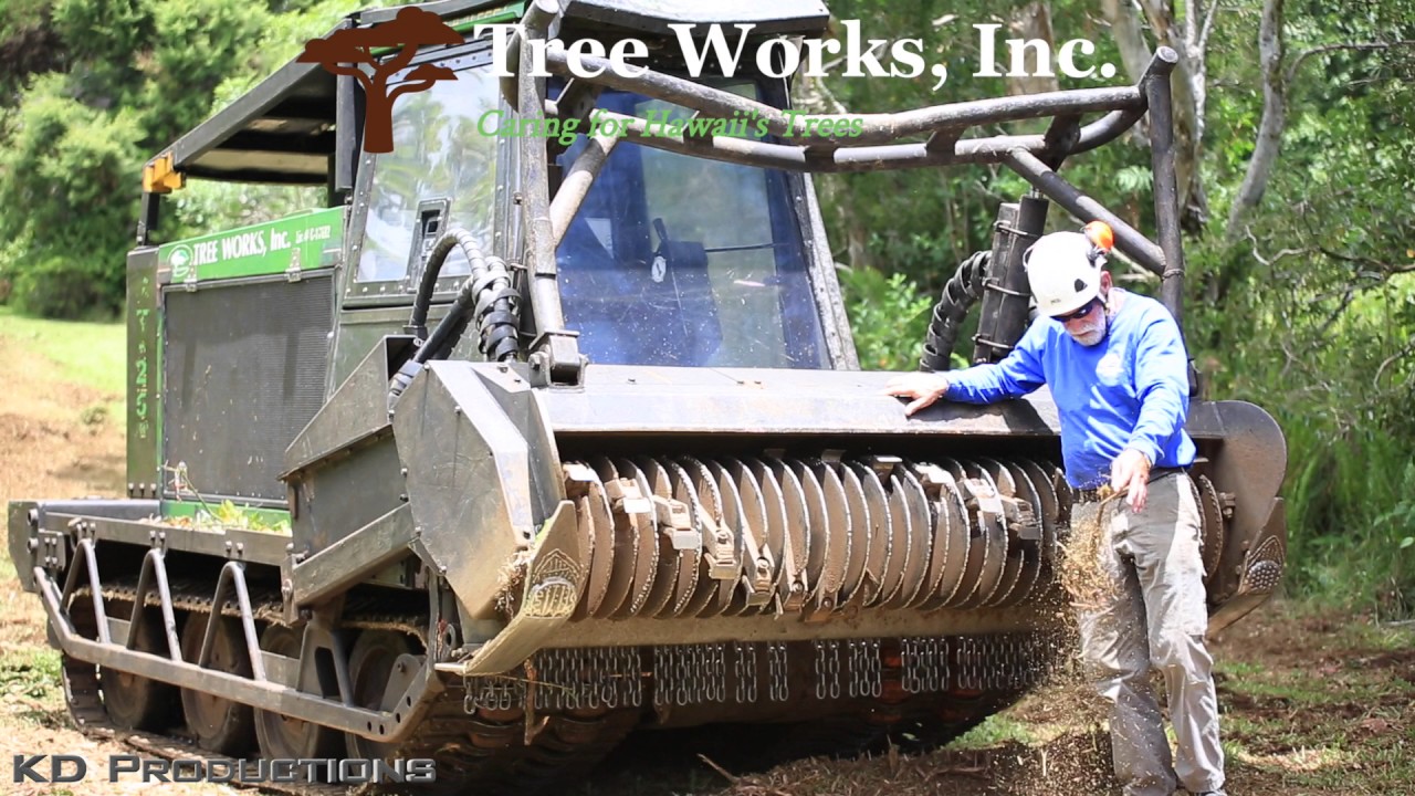 tree works inc gyro trac orchard mulching youtube tree works inc