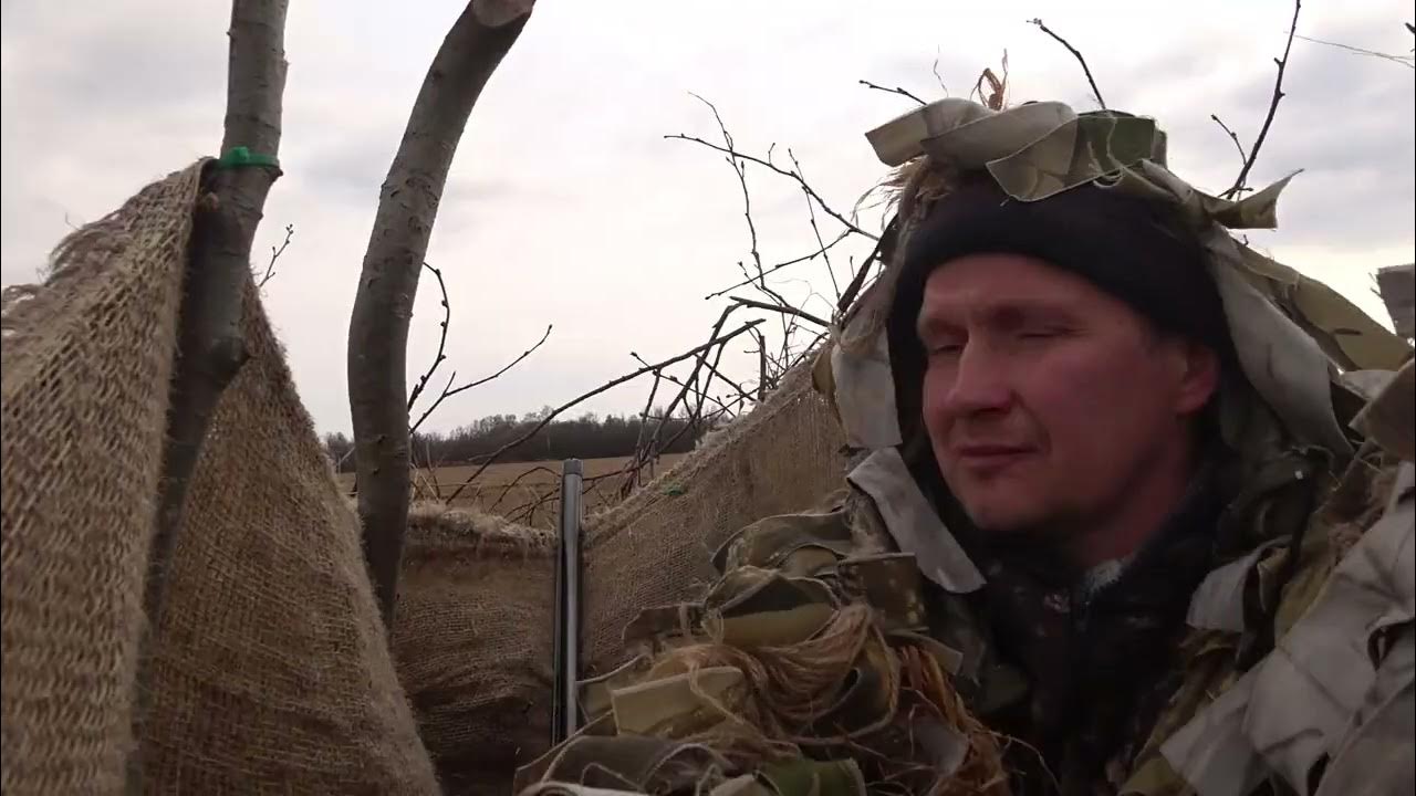 ярославский охотник серега свежее видео