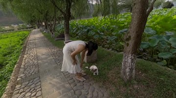 Kandao Obsidian 6DoF Demo