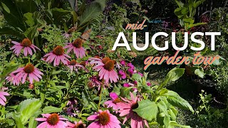 Mid-August Garden Tour