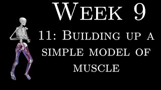 K305 Week 9 - 11 - Building up a simple model of muscle