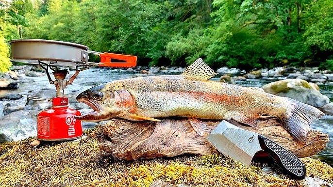 SOLO Trout Fishing REMOTE RIVER with my DOGS!!! (Catch & Cook) 