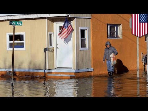 Видео: Повышение уровня воды в океане, или Последнее видео TomoNews