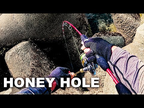 Drop Bait in Hole = Instant Fish!