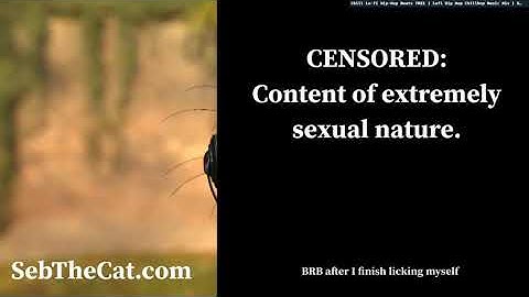 GameDev: Godot engine. Split Screen Multiplayer Mobile Game (Part 2/20)