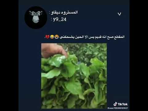 ههههههه ذا تحب الجزر لازم تغض البصر