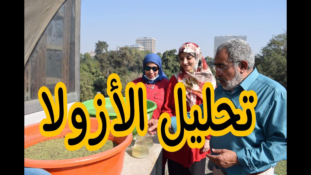 نتائج تحليل الأزولا بالتفصيل