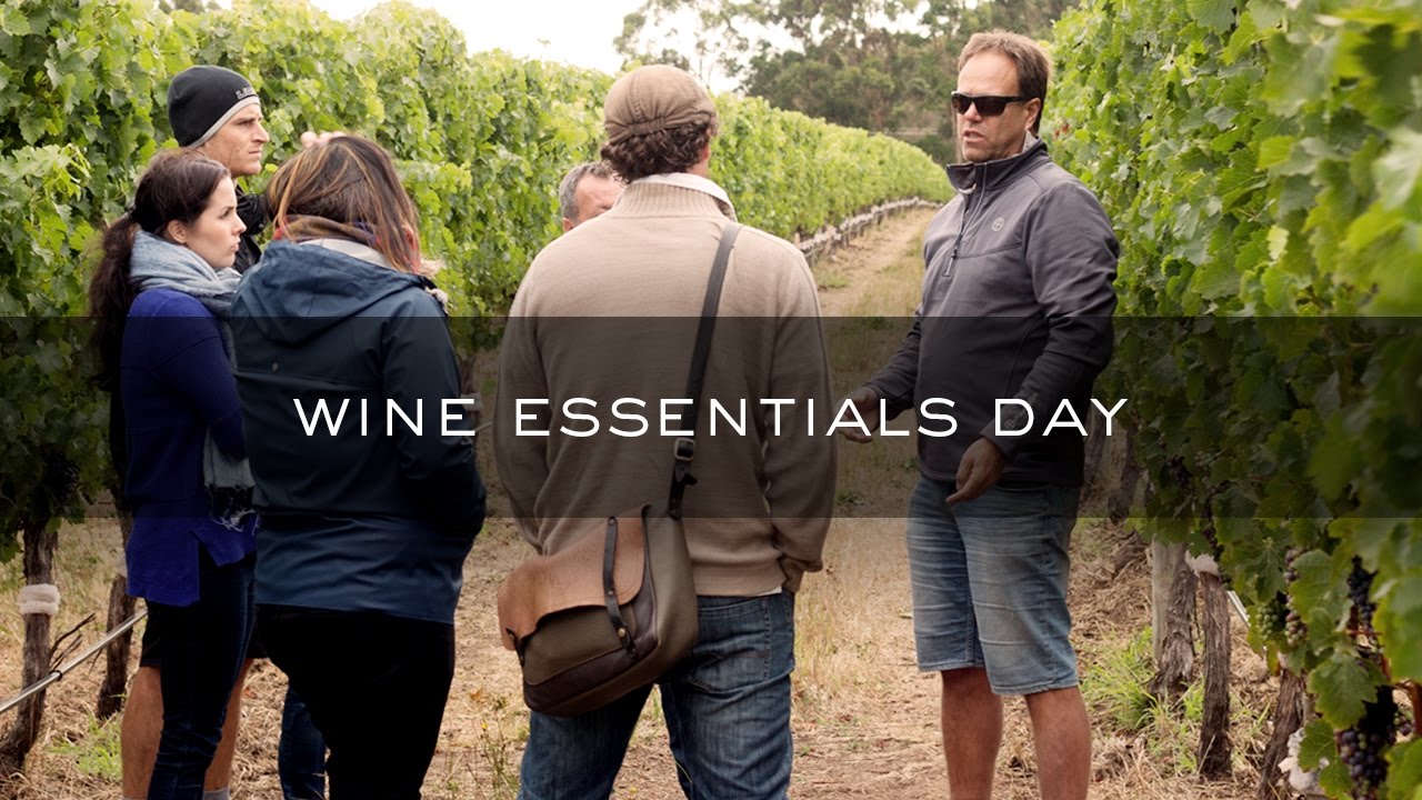 Voyager Estate Wine Essentials Day