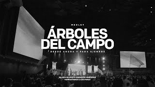 Medley Árboles De Campo