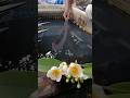 the process hardening machete long #blacksmith #viral #survival #experiment #handmadeinusa