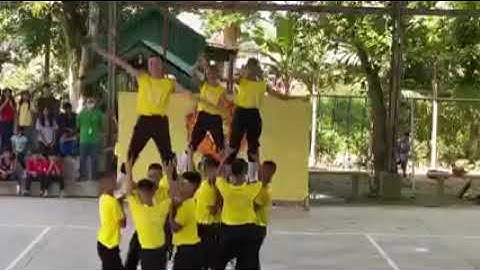 St. franchis of assisi school silay city. Grade 8 (golden lion) performance - CHAMPION 2023