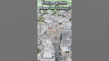 Какую зелень рвут на Троицу? #shorts