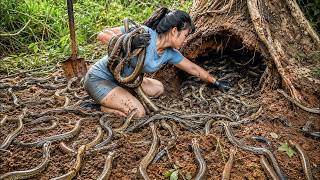 72 Hours Full Process 🔥 Giant Snakes Nest Found Under Ancient Tree Root | Terrifying Moment!