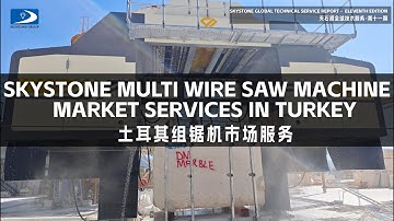 Skystone Global Technical Service Report   Eleventh Edition