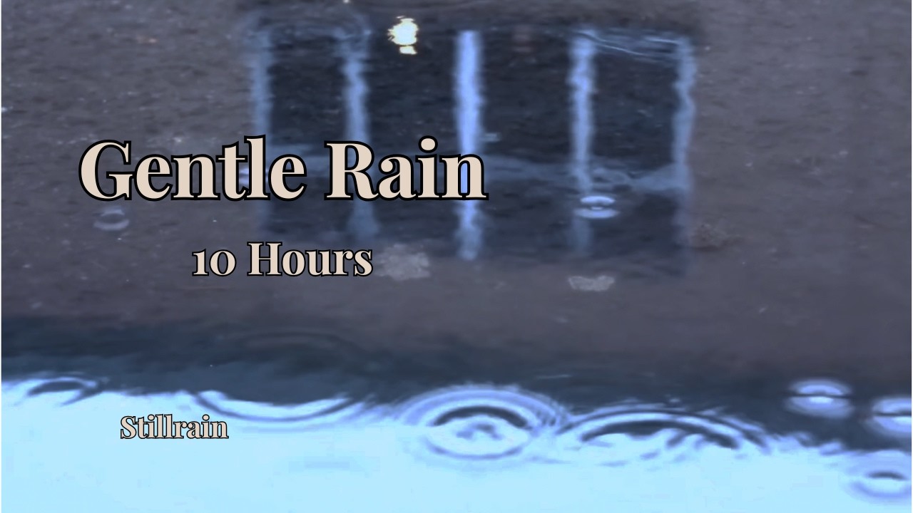Mira Gentle Rain on a Quiet Puddle 🌧️ Soft Rain Sounds for Sleep, Study & Relaxation 10 Hours en YouTube Mira Gentle Rain on a Quiet Puddle 🌧️ Soft Rain Sounds for Sleep, Study & Relaxation 10 Hours en YouTube