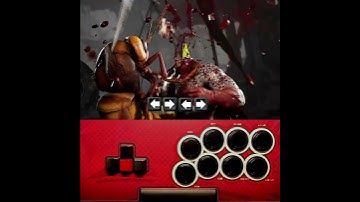 How to do Cyrax Animality in MK1 with Mixbox Spacer / Keyboard / Leverless controller #mixbox #mk1