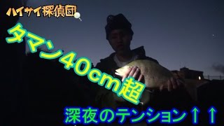 【新記録】巨大タマフエフキダイを釣り上げろ【沖縄　北谷町砂辺】